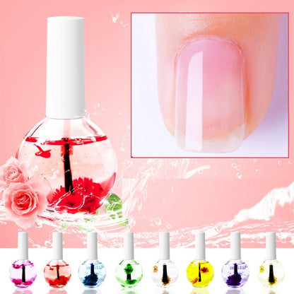 Nail Beauty Dried Flowers Nutrition Nail Treatment Oil Anti-agnail Nail Edge Moisturizing Nail Base Coat Natural Dried Flower Nutrient Solution-Teresa&#39;s Fashionista LLC