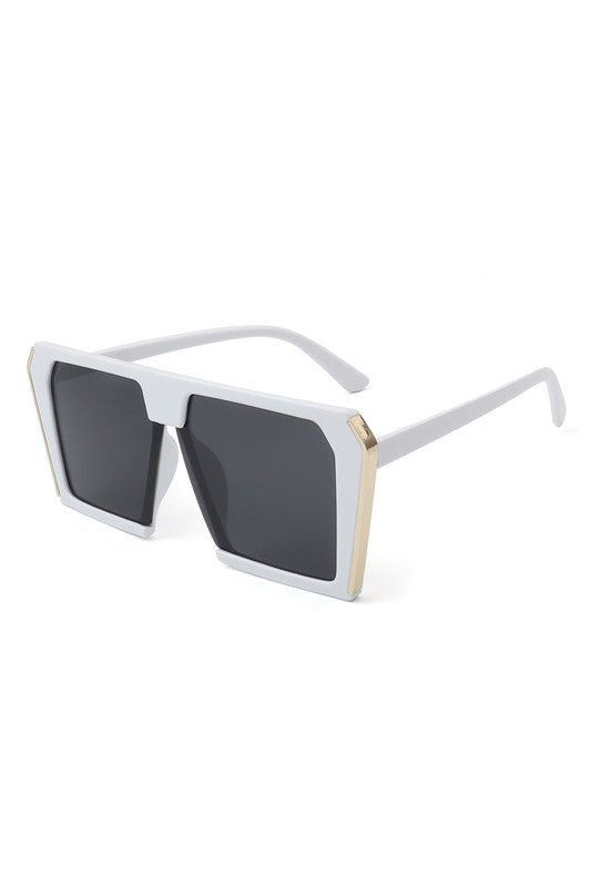 Women Square Oversize Fashion Sunglasses-Teresa&#39;s Fashionista LLC