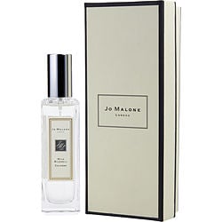 JO MALONE WILD BLUEBELL by Jo Malone-Teresa&#39;s Fashionista LLC