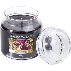 YANKEE CANDLE by Yankee Candle-Teresa&#39;s Fashionista LLC