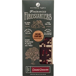 CINNAMON FIRESTARTERS by-Teresa&#39;s Fashionista LLC