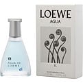 AGUA DE LOEWE EL by Loewe-Teresa&#39;s Fashionista LLC