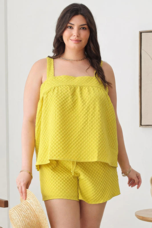 Plus Size Textured Top Elastic Waist Short Sets-Teresa&#39;s Fashionista LLC