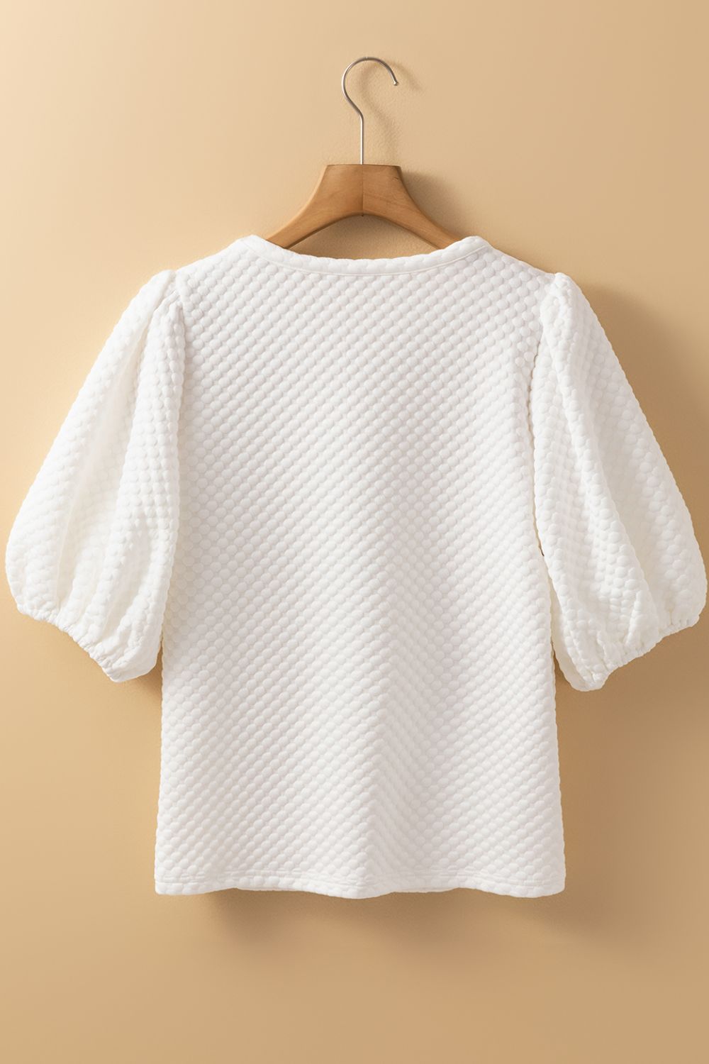 Textured Round Neck Puff Sleeve Blouse