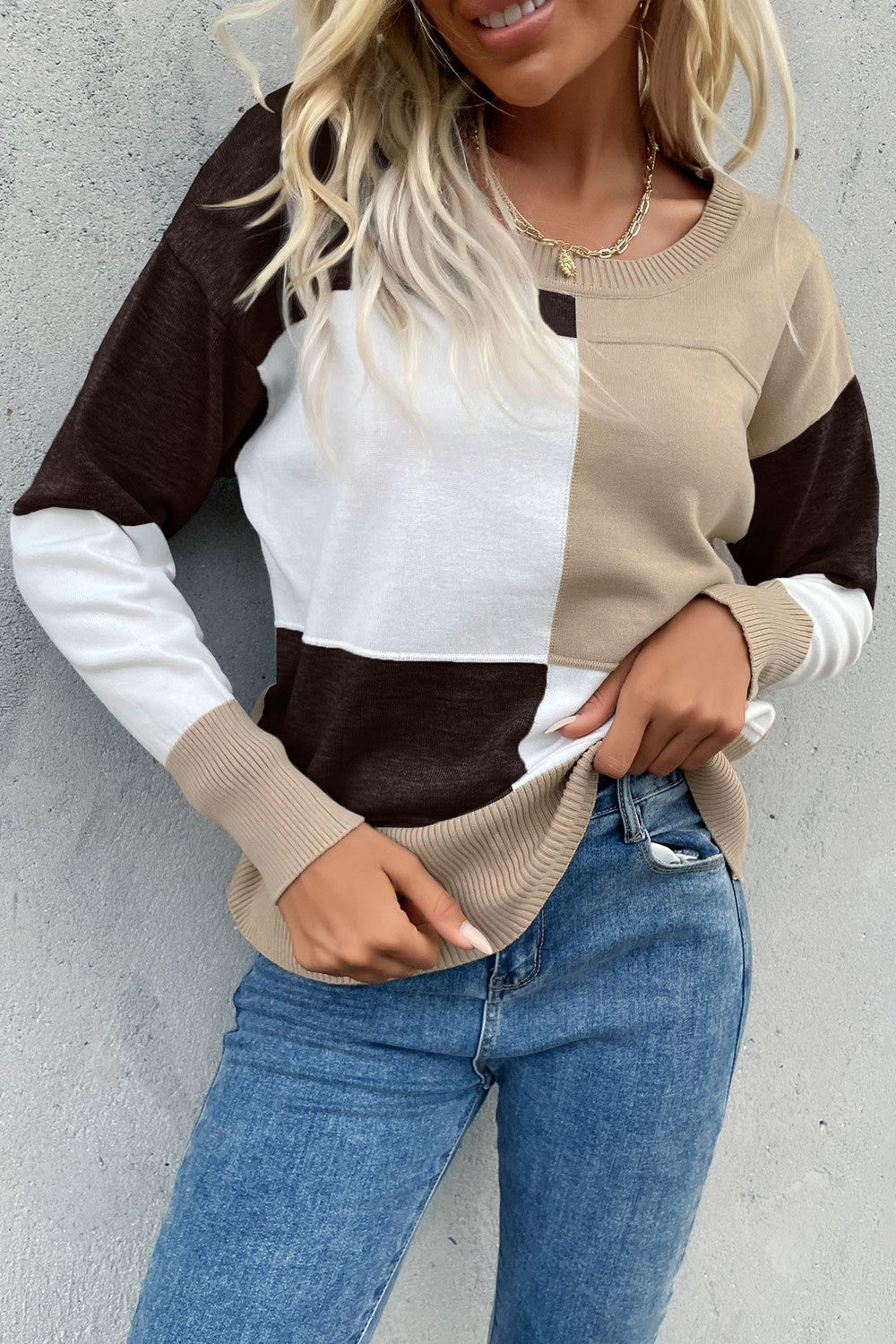 Color Block Ribbed Trim Round Neck Knit Pullover-Teresa&#39;s Fashionista LLC