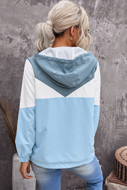 Color Block Quarter-Zip Drawstring Hoodie-Teresa&#39;s Fashionista LLC