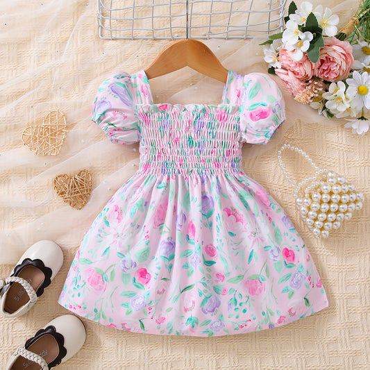 Baby Girl Floral Ruffle Trim Smocked Dress - Teresa's Fashionista LLC