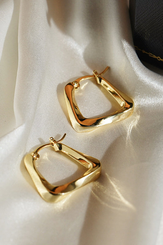 18K Gold Plated Irregular Geometric Earrings-Teresa&#39;s Fashionista LLC