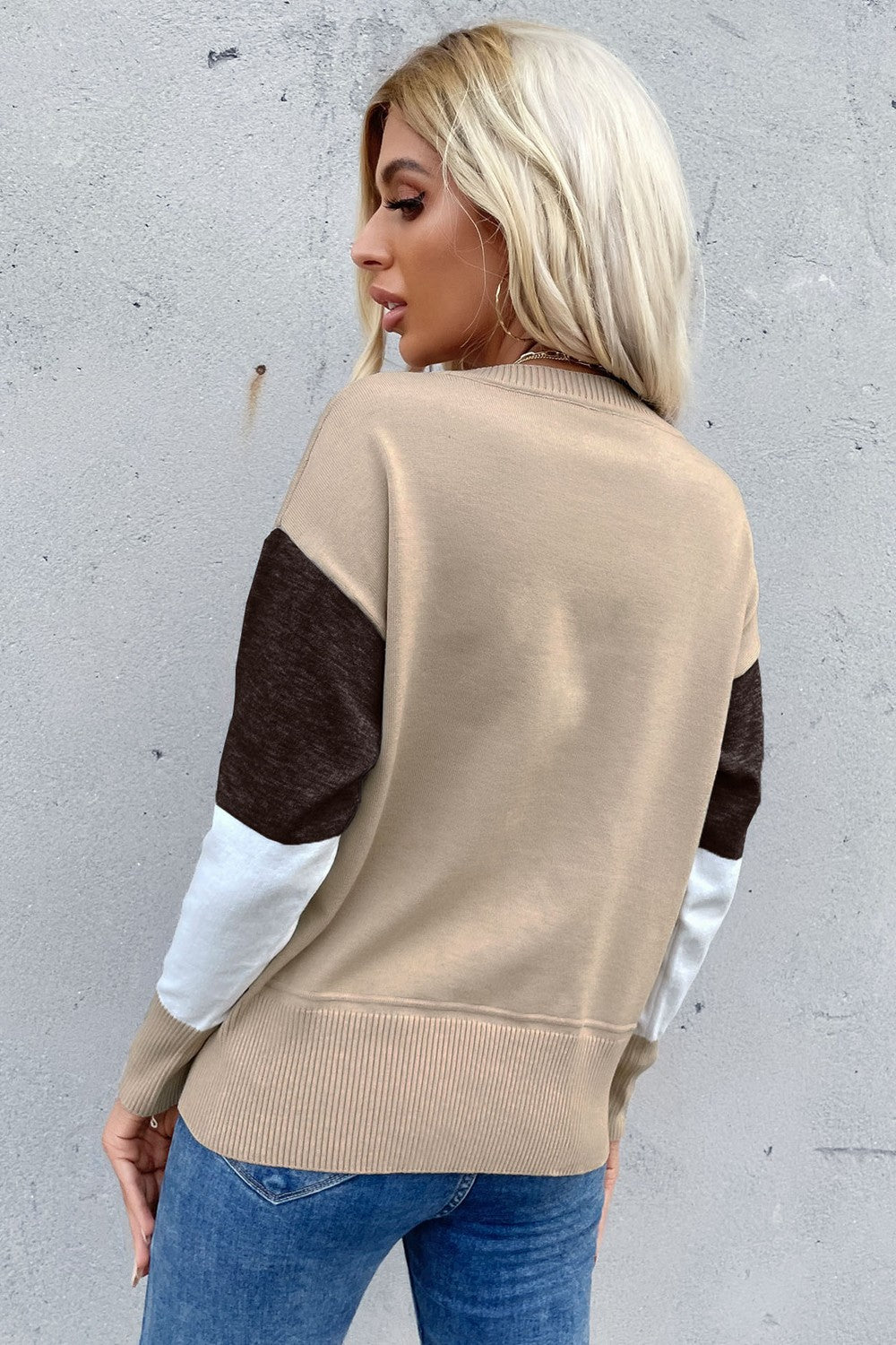 Color Block Ribbed Trim Round Neck Knit Pullover-Teresa&#39;s Fashionista LLC