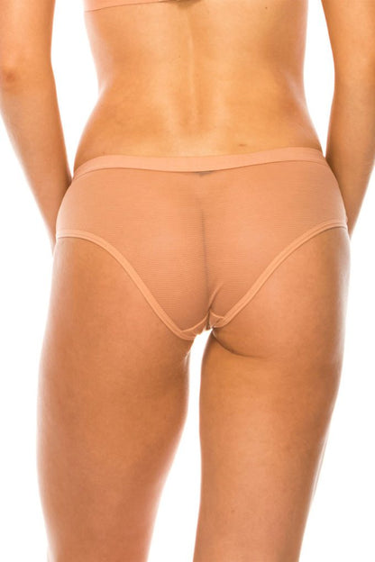 Mesh Hipster Panty-Teresa&#39;s Fashionista LLC