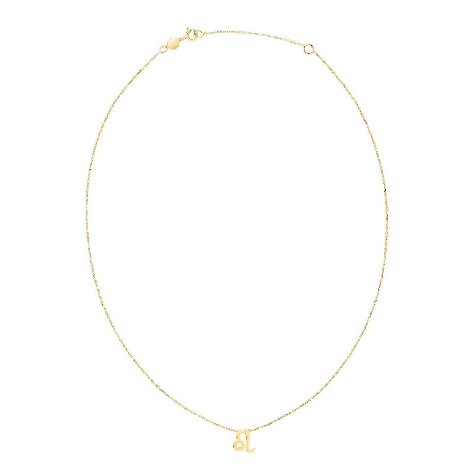 14K Yellow Gold Leo Necklace-Teresa&#39;s Fashionista LLC