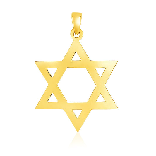 14k Yellow Gold Polished Star of David Pendant-Teresa&#39;s Fashionista LLC