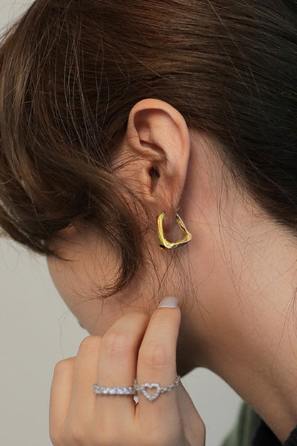 18K Gold Plated Irregular Geometric Earrings-Teresa&#39;s Fashionista LLC